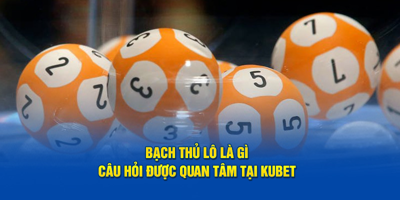 Bạch thủ lô là gì - Câu hỏi được quan tâm tại Kubet