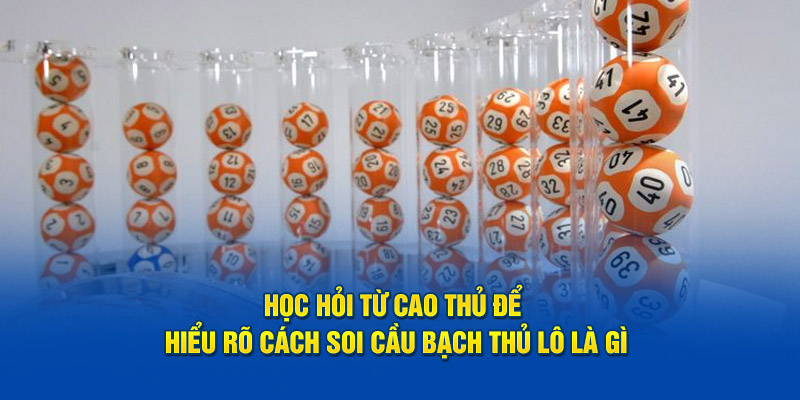 Học hỏi từ cao thủ để hiểu rõ cách soi cầu bạch thủ lô là gì