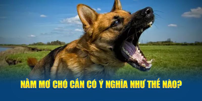 Nằm mơ chó cắn có ý nghĩa như thế nào?